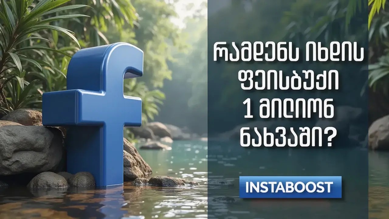 რამდენს იხდის Facebook 1 მილიონ ნახვაში?